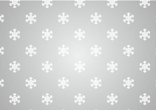 Snowflake Pattern on Silver Background