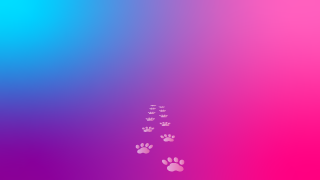 歩く犬足跡とピンク雲